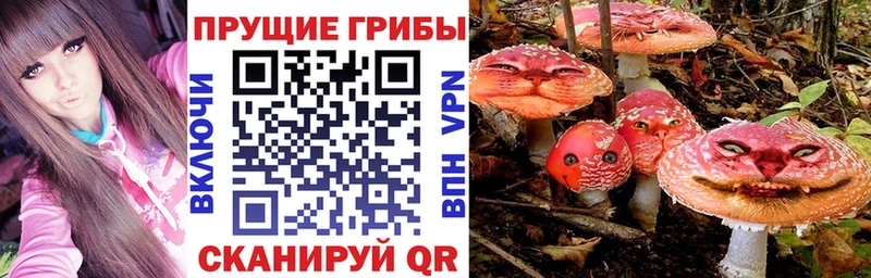 Галлюциногенные грибы мухоморы  Купить где  Заинск 